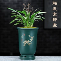 Purple Sand Flower Pot Basin Глупой золотой колокол бассейн простые очарование орхидея горшечной посадки орхидея воздух выполнение рабочего стола Gaojing Box