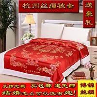 Hàng châu lụa quilt cover cotton có thể tháo rời quilt mềm satin thổ cẩm damask cưới trắng zizi mền