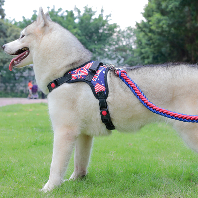 大型犬背心式狗狗牵引绳 商品反馈