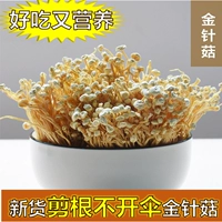 Гутская ферма музыкальные грибы сухой генджи разрезают корни и платиновые платиновые платиновые платиновые платиновые платиновые грибы Shiitake Fujian Special Products Edible