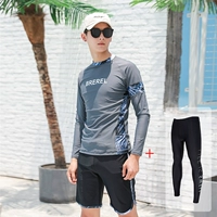 Шорты, штаны, круглый воротник