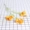 Orange Cosmos chi nhánh dài chọn mô phỏng cao hoa cúc lụa hoa bó hoa cưới đường hoa dẫn đường cắm hoa - Hoa nhân tạo / Cây / Trái cây