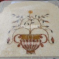 Абрикосовый