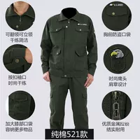 Коттон 521 модели [SET]