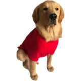 狗服装宠物秋冬纯棉T恤款式中型犬金毛苏牧黑色白色套头两脚卫衣