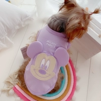 Фиолетовый