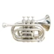 Chính hãng Baja palm number nhạc cụ bỏ túi trumpet portable palm number B-down cornet khuyến mãi kèn sona