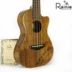 Nhạc cụ múa bảy dây RAINIE C40 T40C 23 26 inch Gỗ keo veneer ukulele - Nhạc cụ phương Tây đàn điện tử Nhạc cụ phương Tây