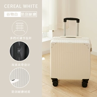 Зерновая белая классическая модель молнии