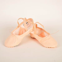 Vivgio подлинный искренний новая супер -патч -стопы эластичная упругая двухботочная балетная туфли сладкая обувь кошачья кошачья туфли v221c