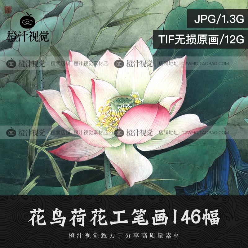 Phong Cách Vẽ Hoa Trung Quốc Và Các Loài Chim Cổ Lotus Lotus Vẽ Bức Tranh Vẽ  Minh Họa Sao Chép Các Tài Liệu Thiết Kế Trang Trí | Đồ Trang Trí -