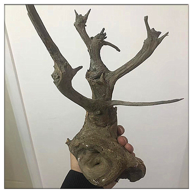黑檀木/水月自在觀音工藝品木雕擺件紅木鎮宅客廳禮品