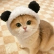 Panda Hat (рекомендуется 3-15 кот)