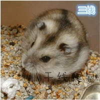 Один из трех -один (запишите заметки)