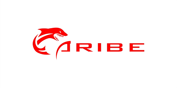 CARIBE специальный большой потенциал аккумулятор  4000 миллиампер  4100 миллиампер  4500 миллиампер  6000 миллиампер