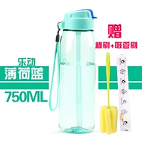 Ledong Mint Blue + Cround Brush + Cup Brush