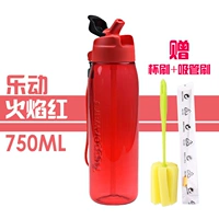 LEDONGHONG + Cround Brush + Cup Brush