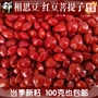 Đậu đỏ Bodhi hạt giống ban đầu bán buôn keo đậu máu Bodhi lỏng hạt đỏ tim Bodhi hạt hạt vòng tay phụ kiện vòng đeo tay - Vòng đeo tay Clasp vòng gỗ sưa
