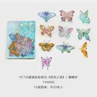 Фотографии бабочки Инь-20