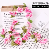 Розовая красная вишня расцветает роттан 1