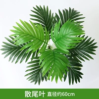 Роза красный свободный хвостовой лист