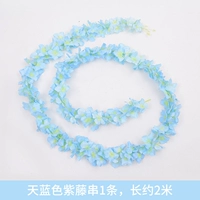 Sky Blue Wisteria String 1
