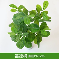 Фул Тонг аксессуары