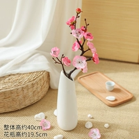 Xiooli pink+landwing xiaoshi bottle