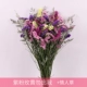 Purple Fan Rose Huang Plus Love Grass (1 Catty)