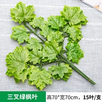 1 ветвь зеленого кленового листа