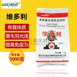 Letao мясо голубя птица лекарство курица лекарство голубь медицина электролитические мультивитамины аминокислот быстрая добавка 1 кг Victory 5000