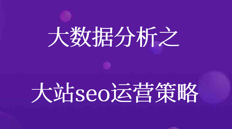 大数据分析之大站seo运营策略