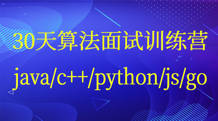 算法面试训练营java/c++/python/js/go(师徒问答)