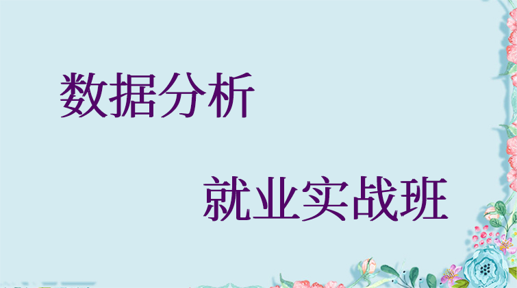 数据分析·就业实战班