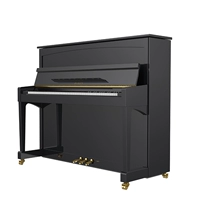 Helen piano dọc Pedro Roser RD123 thi chuyên nghiệp chơi piano - dương cầm 	đàn piano xiaomi