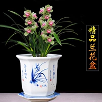Глина, белый цветочный горшок, классический китайский сине-белый гель алоэ вера, ручная роспись, орхидея