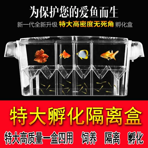Zhenlin Aquarius, Peacock Fishfeng Tail Mary Moon Loon Light Starrow Box Incubation Box, маленькая ящик для изоляции рыбы