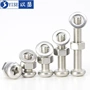 Fastener gỗ lắp đặt bằng thép không gỉ nắp cũi vít ốc vít chéo hex bu lông đầu phẳng - Chốt ốc vít rỗng