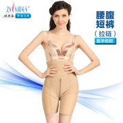Zi Limei y tế corset hình gầy chân quần sau sinh cơ thể hình bụng hông eo quần short khóa