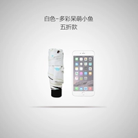 Красочная и милая рыба