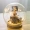 Crystal Ball Light Hướng dẫn DIY Micro Cảnh Hoàng tử bé Sen Deer Long Cat Lovers Sinh nhật Giáng sinh Quà tặng Đêm Ánh sáng Trang trí - Trang trí nội thất