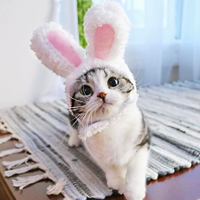 Кролик, шлем, милая шапка подходит для фотосессий, аксессуар для волос, популярно в интернете, кот, домашний питомец