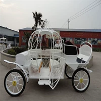 Новая экспортированная тыквенная карета белая комната твердое нигерийская рождественская свадьба Железная Ловота