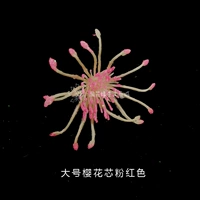 Большой вишневый ядро ​​розовый