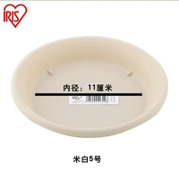 № 5 Rice Pigment Pigment Ant