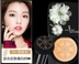 Shaqili đầu nấm nhỏ cushion bb cream cc stick dưỡng ẩm lâu dài che phủ tự nhiên cách ly kem nền trang điểm nữ - Nền tảng chất lỏng / Stick Foundation Nền tảng chất lỏng / Stick Foundation