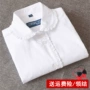 Áo sơ mi trắng tay dài cổ tròn ren đáy áo mùa xuân hiệu suất mới quần áo học sinh cotton trắng đồng phục - Áo sơ mi shop trẻ em