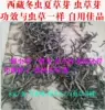 Товары от jianghonghong8888