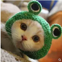 Little Renjie Frog -s код (применимо 1-5 кот)