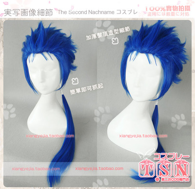 taobao agent 第二氏 Fate STAY NIGHT LANCER Kuqiulin Old Gun Black Kuchulin COS wig 423